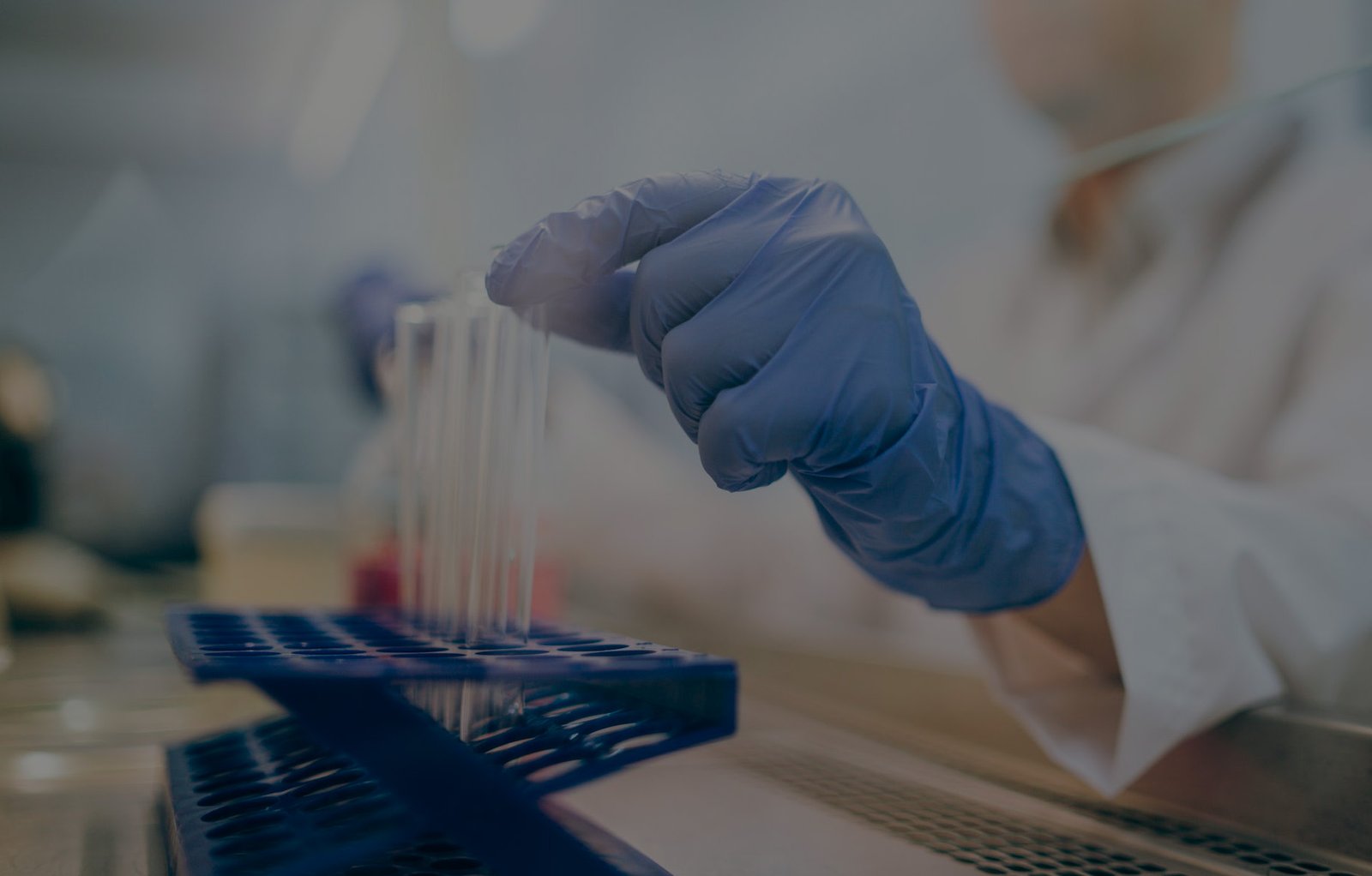 Inmunoterapia Personalizada Contra el Linfoma no Hodgkin