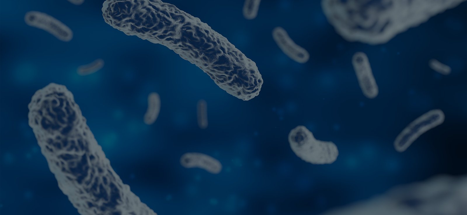 Inmunoterapia para Leucemia en Chile